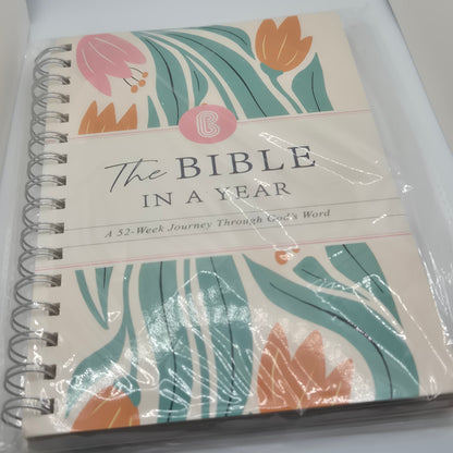 My Little Box of Faith: Lion and Lamb